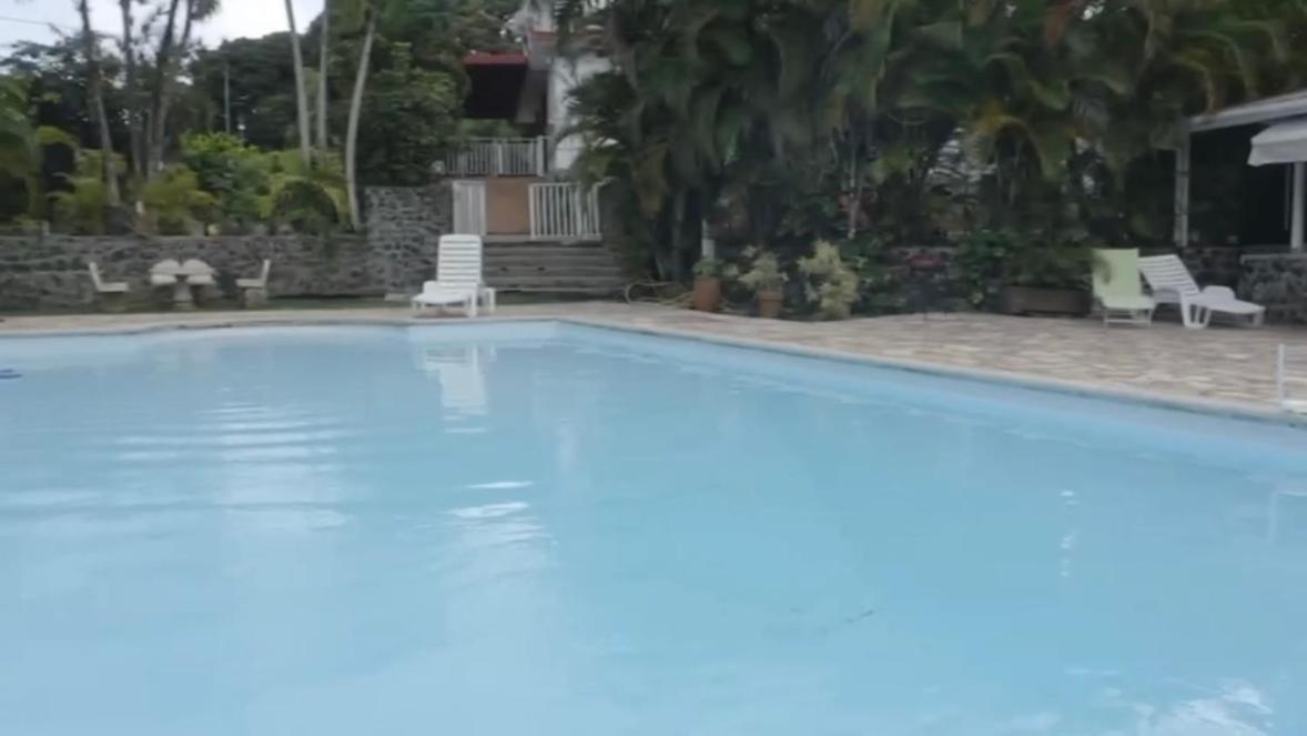 Villa Les Orchidees Et Villa Alpinia Petit-Bourg Extérieur photo