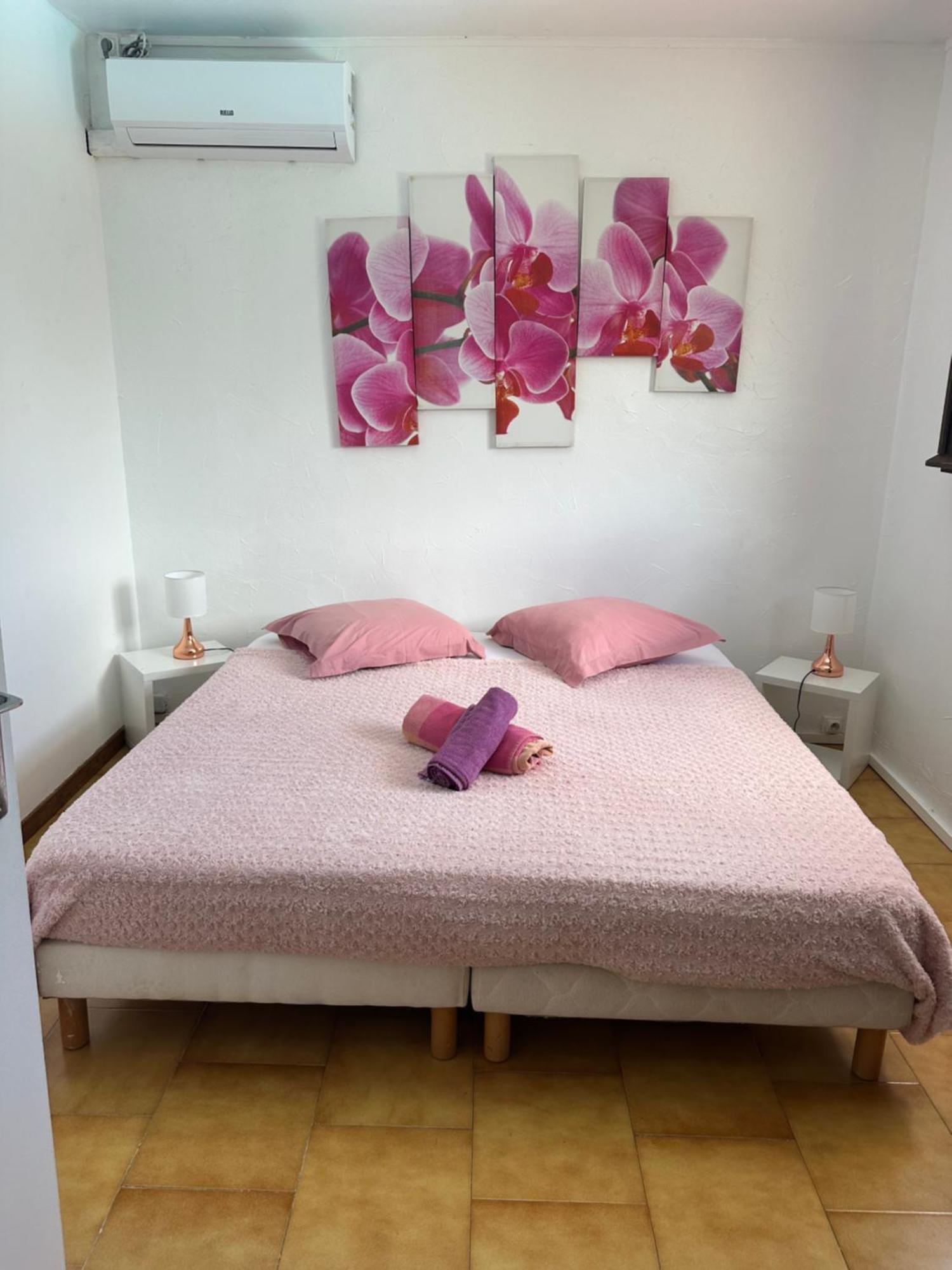 Villa Les Orchidees Et Villa Alpinia Petit-Bourg Extérieur photo